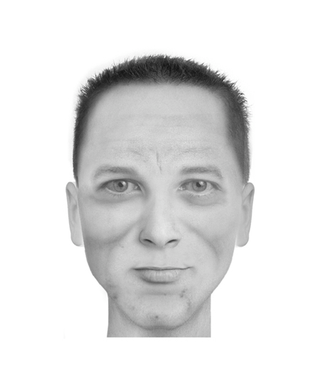 Illustration for article titled Police composite software makes realistic portraits of literary characters